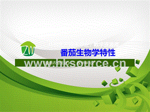 設(shè)施蔬菜生產(chǎn)-番茄的生物學(xué)特性2.ppt