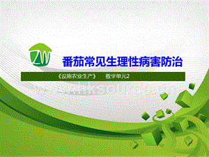 設(shè)施蔬菜生產(chǎn)-番茄常見(jiàn)生理性病害5.ppt