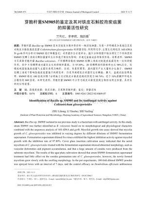 芽胞桿菌SM905的鑒定及其對(duì)鐵皮石斛膠孢炭疽菌的抑菌活性研究.pdf