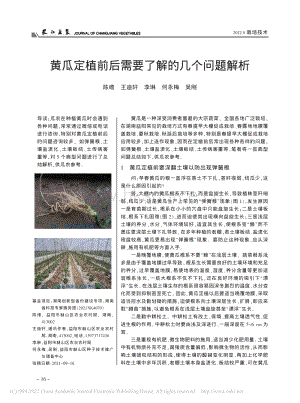 黃瓜定植前后需要了解的幾個(gè)問(wèn)題解析_陳維.pdf