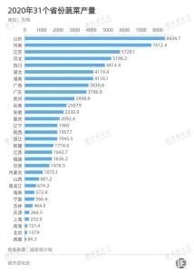 2020年31個(gè)省份蔬菜產(chǎn)量.jpg