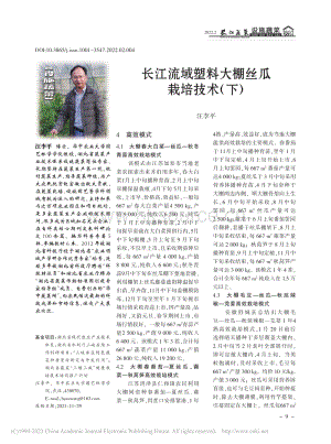 長江流域塑料大棚絲瓜栽培技術(shù)（下）_汪李平.pdf