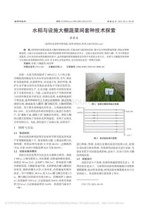 水稻與設(shè)施大棚蔬菜間套種技術(shù)探索.pdf