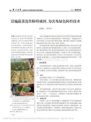 設(shè)施蔬菜連作障礙成因、為害及綠色防控技術(shù).pdf