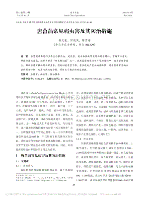唐菖蒲常見病蟲害及其防治措施.pdf