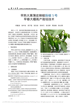 早熟大果薄皮辣椒揚椒5號早春大棚高產(chǎn)栽培技術(shù).pdf
