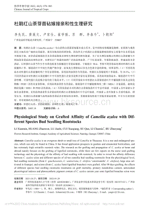 杜鵑紅山茶芽苗砧嫁接親和性生理研究.pdf