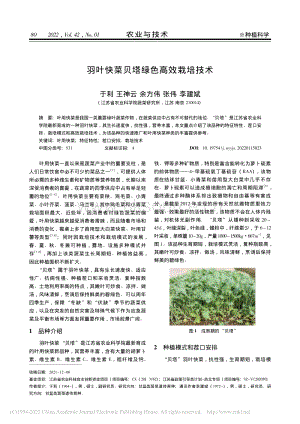 羽葉快菜貝塔綠色高效栽培技術(shù).pdf