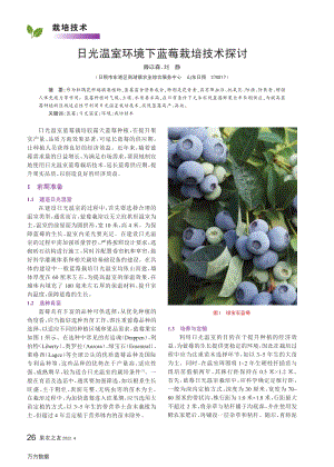 日光溫室環(huán)境下藍(lán)莓栽培技術(shù)探討.pdf