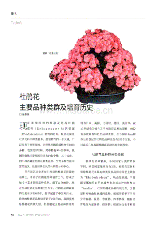 杜鵑花主要品種類群及培育歷史.pdf