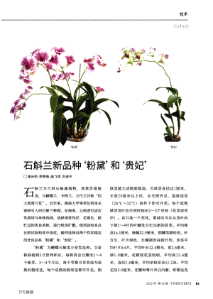 石斛蘭新品種粉黛和貴妃.pdf