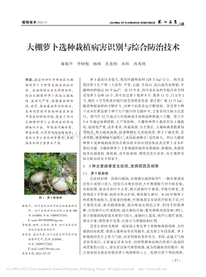 大棚蘿卜選種栽植病害識別與綜合防治技術(shù).pdf