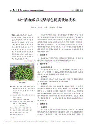 泰州香絲瓜春提早綠色優(yōu)質(zhì)栽培技術(shù).pdf