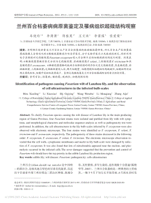 蘭州百合枯萎病病原菌鑒定及罹病組織超微結(jié)構(gòu)觀察.pdf