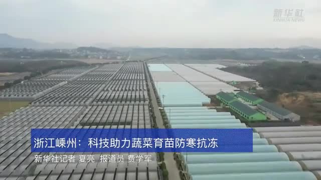 運(yùn)用科技手段幫助蔬菜秧苗抗寒防凍.mp4