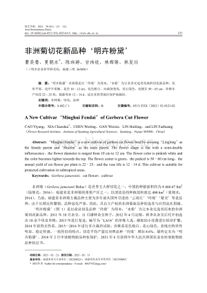 非洲菊切花新品種 明卉粉黛 .pdf