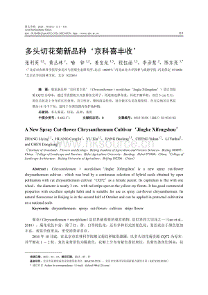 多頭切花菊新品種 京科喜豐收 .pdf