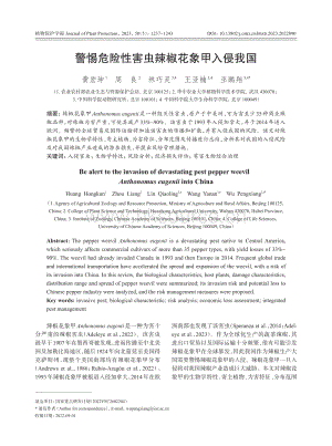 警惕危險(xiǎn)性害蟲辣椒花象甲入侵我國.pdf