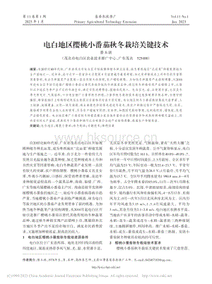 電白地區(qū)櫻桃小番茄秋冬栽培關鍵技術.pdf
