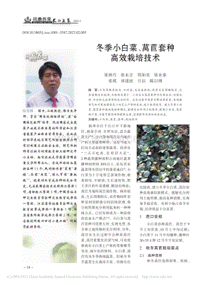 冬季小白菜、萵苣套種高效栽培技術(shù).pdf