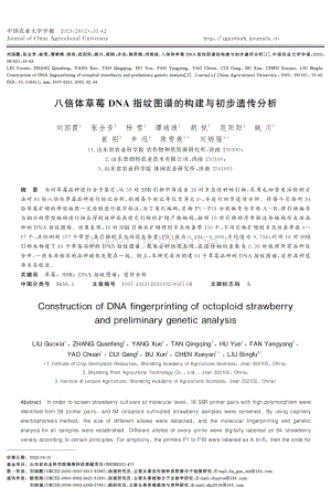 八倍體草莓DNA指紋圖譜的構(gòu)建與初步遺傳分析.pdf