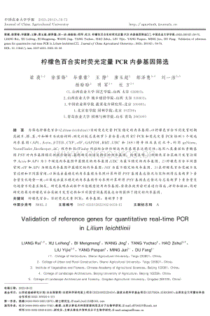 檸檬色百合實(shí)時(shí)熒光定量PCR內(nèi)參基因篩選.pdf