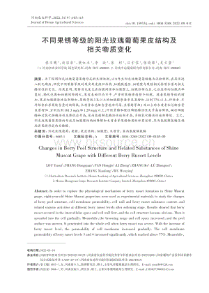 不同果銹等級的陽光玫瑰葡萄果皮結(jié)構(gòu)及相關(guān)物質(zhì)變化.pdf