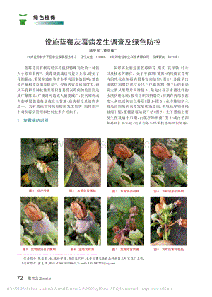 設(shè)施藍(lán)莓灰霉病發(fā)生調(diào)查及綠色防控.pdf