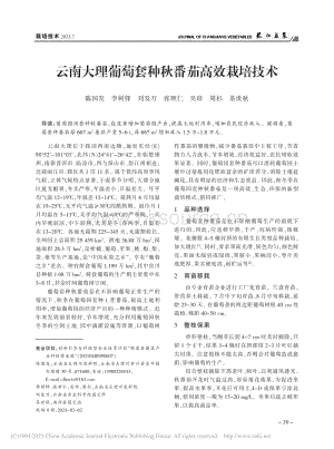 云南大理葡萄套種秋番茄高效栽培技術(shù).pdf