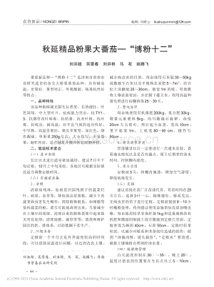 秋延精品粉果大番茄“博粉十二”.pdf