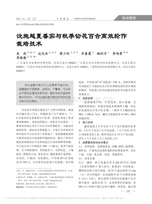 設(shè)施越夏番茄與秋季切花百合高效輪作栽培技術(shù).pdf