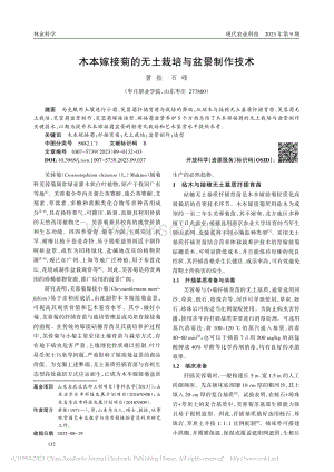 木本嫁接菊的無(wú)土栽培與盆景制作技術(shù).pdf