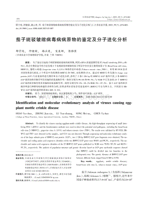 茄子斑駁皺縮病毒病病原物的鑒定及分子進(jìn)化分析.pdf