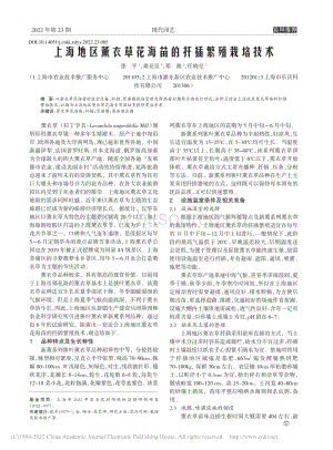 上海地區(qū)薰衣草花海苗的扦插繁殖栽培技術(shù).pdf