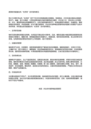 蔬菜防范超強(qiáng)臺(tái)風(fēng)“杜蘇芮”技術(shù)指導(dǎo)意見.pdf
