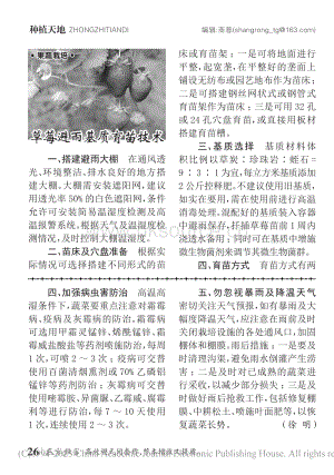草莓避雨基質(zhì)育苗技術(shù).pdf