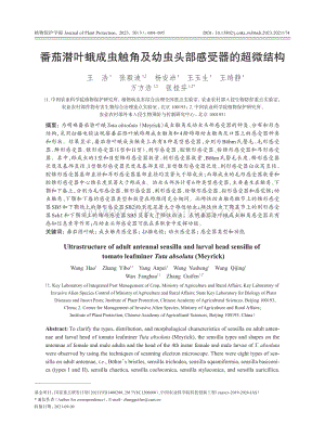 番茄潛葉蛾成蟲觸角及幼蟲頭部感受器的超微結(jié)構(gòu).pdf