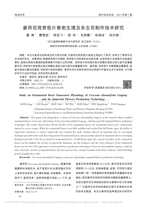 姜荷花觀賞苞片衰老生理及永生花制作技術(shù)研究.pdf