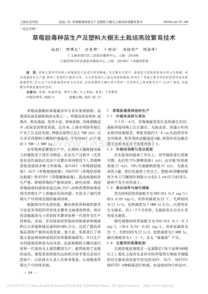 草莓脫毒種苗生產(chǎn)及塑料大棚無土栽培高效繁育技術(shù).pdf
