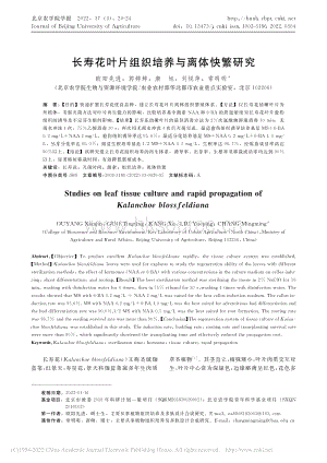 長壽花葉片組織培養(yǎng)與離體快繁研究_歐陽先進.pdf