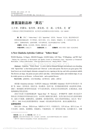 唐菖蒲新品種黃石_王少坤.pdf