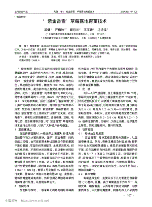 紫金香雪草莓露地育苗技術(shù).pdf