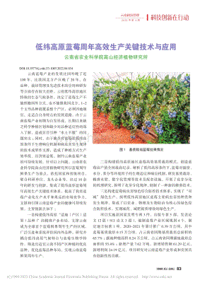 2022-低緯高原藍莓周年高效生產(chǎn)關(guān)鍵技術(shù)與應(yīng)用.pdf
