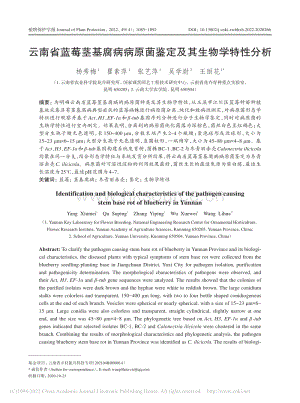 云南省藍莓莖基腐病病原菌鑒定及其生物學特性分析_楊秀梅.pdf