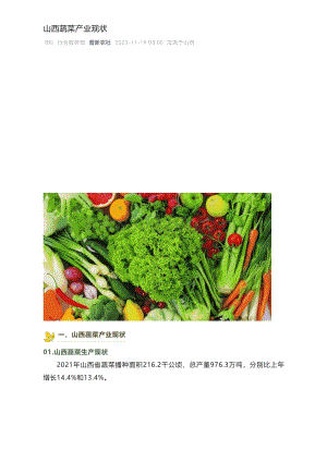 山西蔬菜產業(yè)現(xiàn)狀.pdf