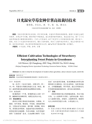 日光溫室草莓套種甘薯高效栽培技術(shù)_雷偉偉.pdf