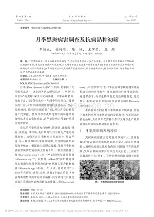 月季黑斑病害調(diào)查及抗病品種初篩.pdf