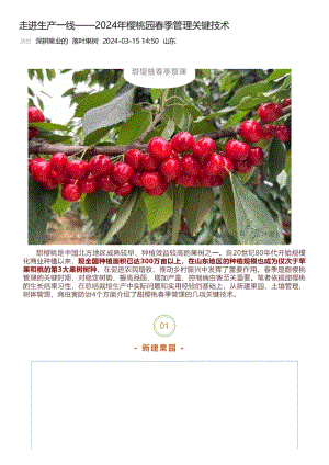 2024年櫻桃園春季管理關(guān)鍵技術(shù).pdf