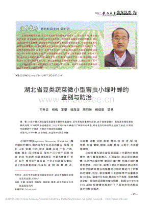 湖北省豆類蔬菜微小型害蟲小綠葉蟬的鑒別與防治.pdf