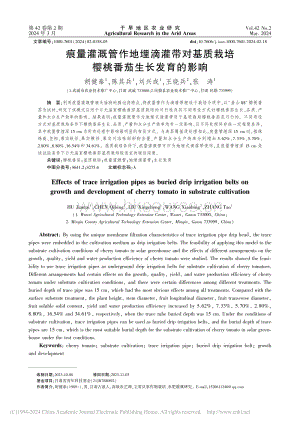 痕量灌溉管作地埋滴灌帶對(duì)基質(zhì)栽培櫻桃番茄生長(zhǎng)發(fā)育的影響.pdf